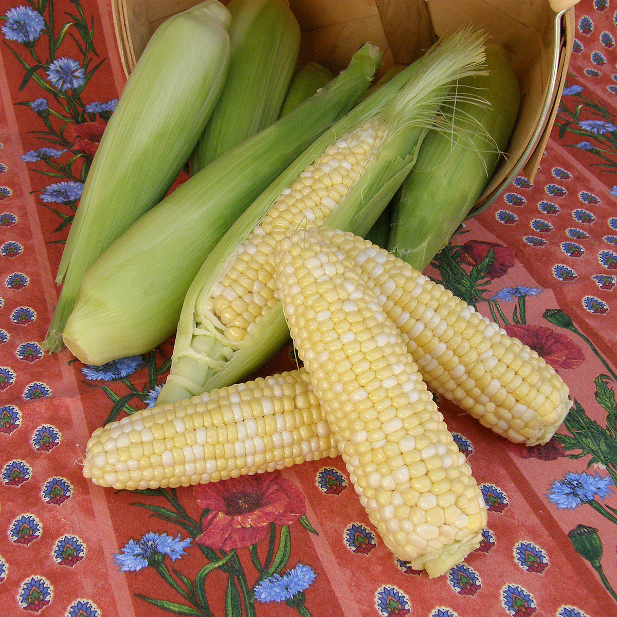 Early Bicolor Corn - Bon Jour