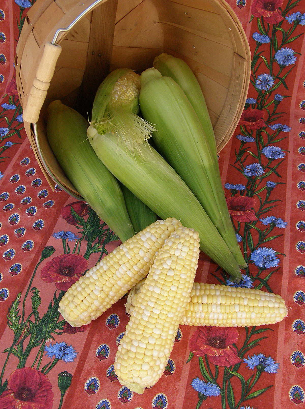 Early Bicolor Corn - Bon Jour