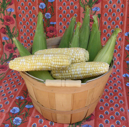 Early Bicolor Corn - Bon Jour