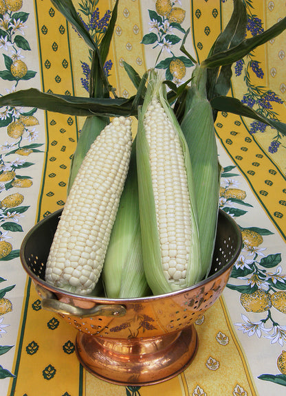 White Corn - Sugar Pearl