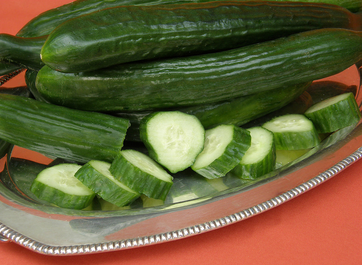 English Cucumber - Chelsea Prize