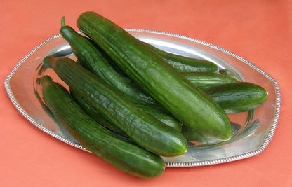 English Cucumber - Chelsea Prize