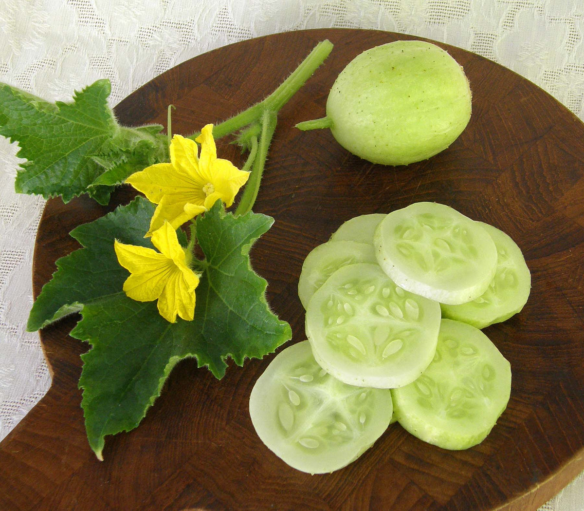 Heirloom Cucumbers - Lemon Cucumbers