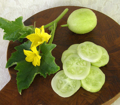 Heirloom Cucumbers - Lemon Cucumbers