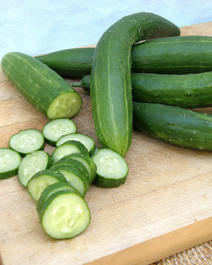 Japanese Cucumber - Tasty Green