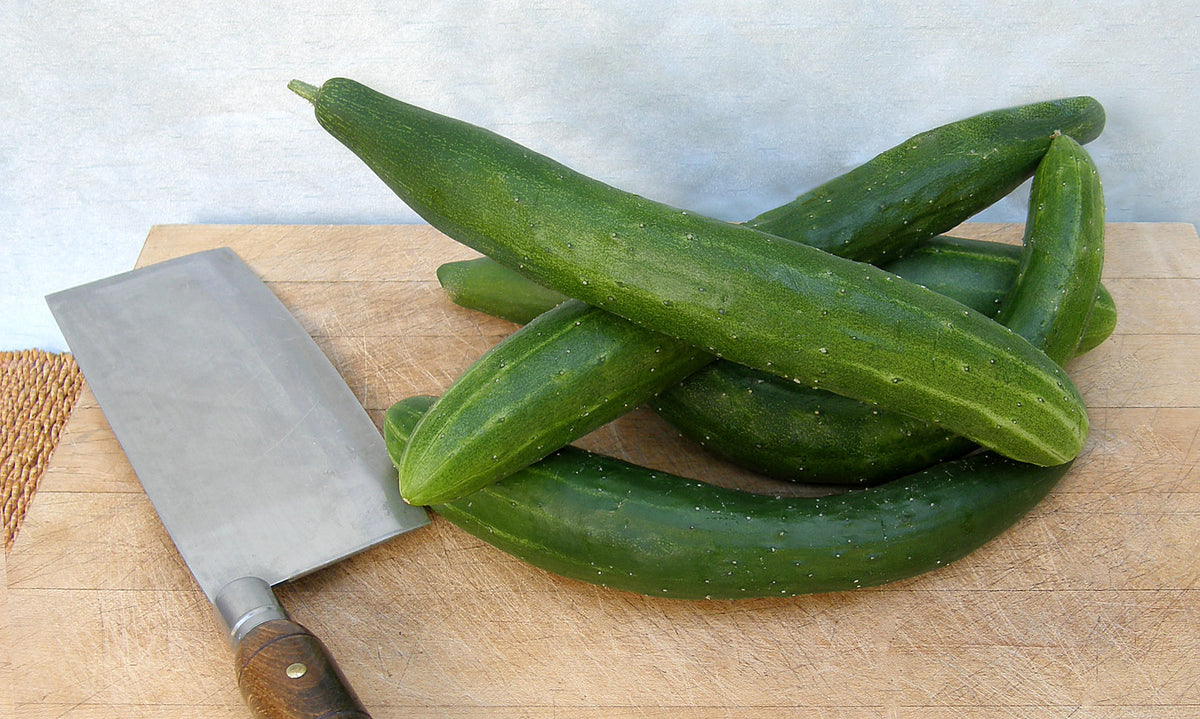 Japanese Cucumber - Tasty Green