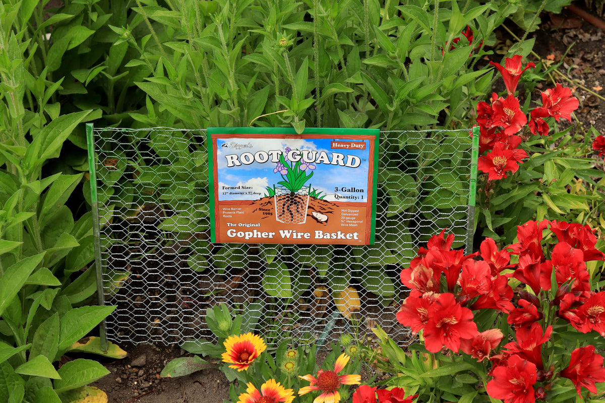 Root Guard Gopher Baskets
