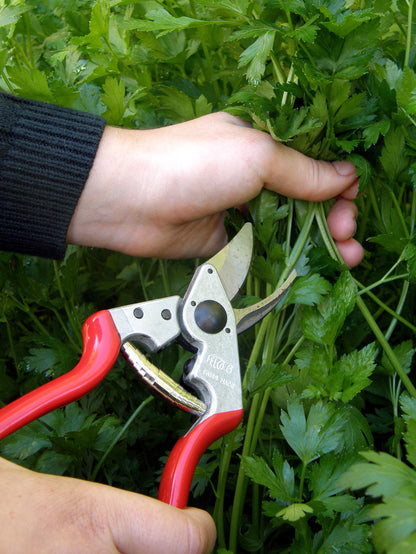 Felco Hand Pruners