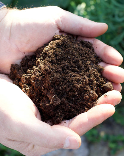 Fort Vee Seed Starting Mix