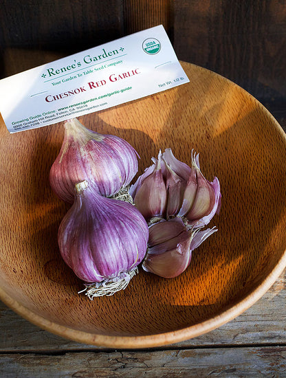 Seed Garlic - Chesnok Red Organic
