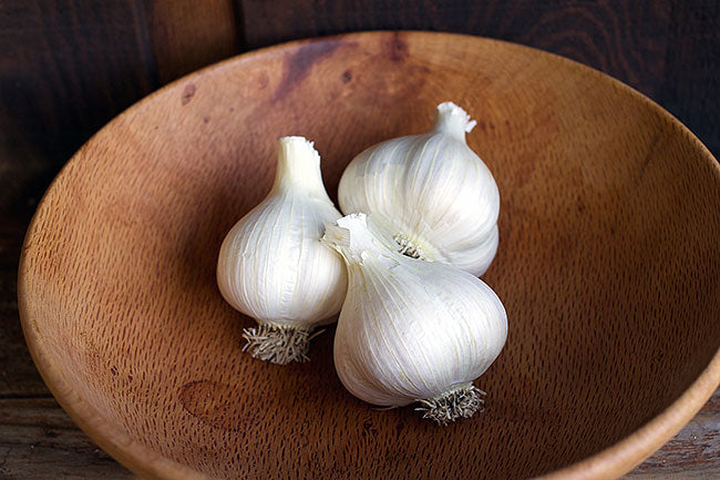 Seed Garlic - German Porcelain Extra Hardy Organic