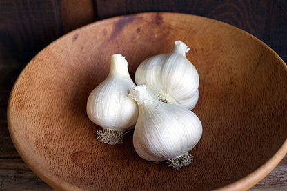 Seed Garlic - German Porcelain Extra Hardy Organic