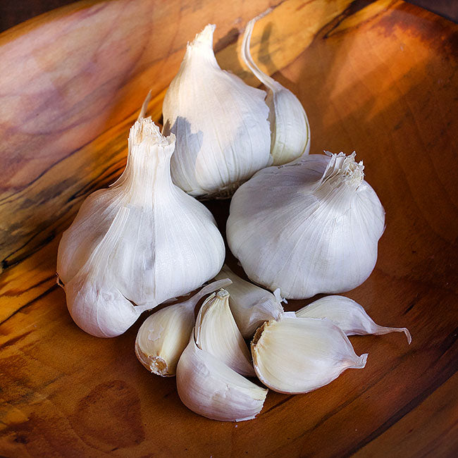 Seed Garlic - Italian Early