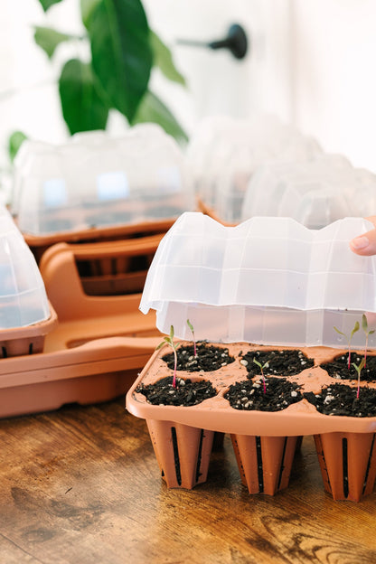 GreenStalk Seed Starter Kit with Domes