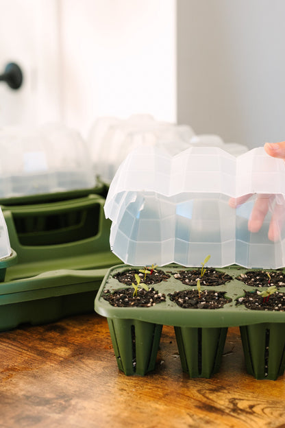 GreenStalk Seed Starter Kit with Domes