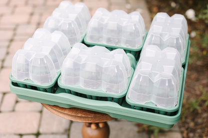 GreenStalk Seed Starter Kit with Domes