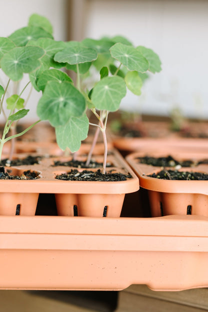 GreenStalk Seed Starter Kit with Domes