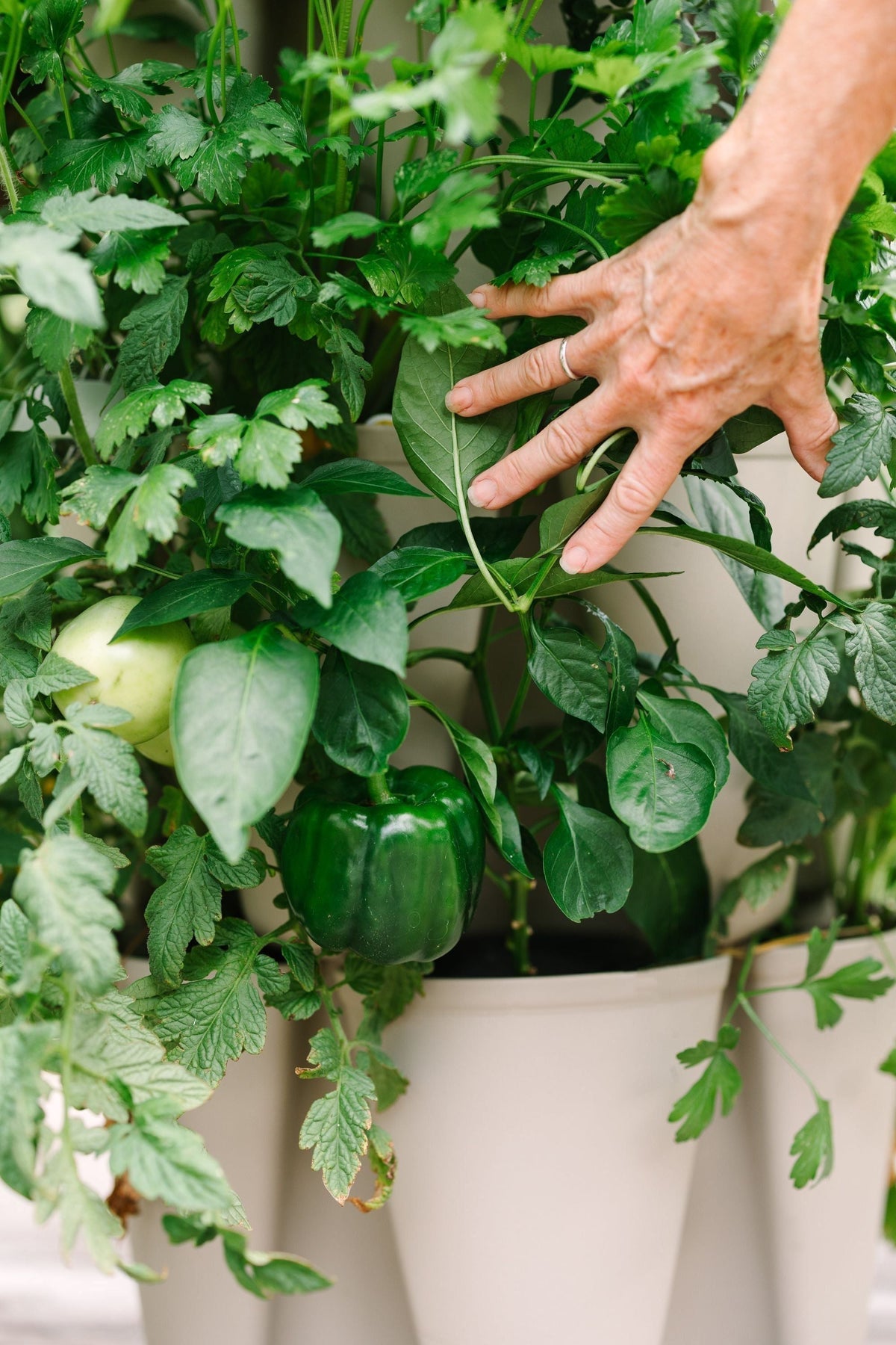 GreenStalk 5-Tier Vertical Planter
