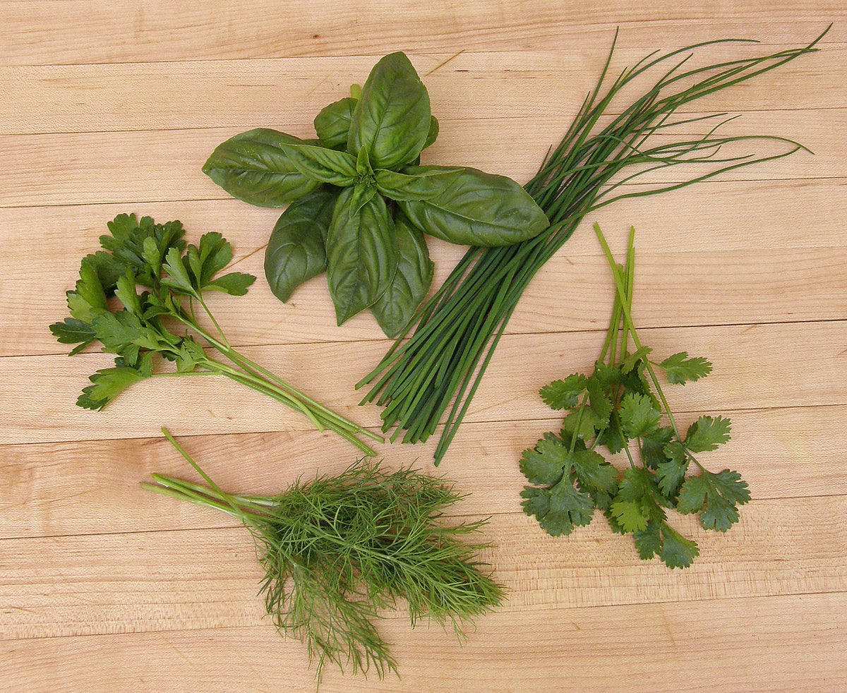 Easy To Grow - The Container Herb Garden