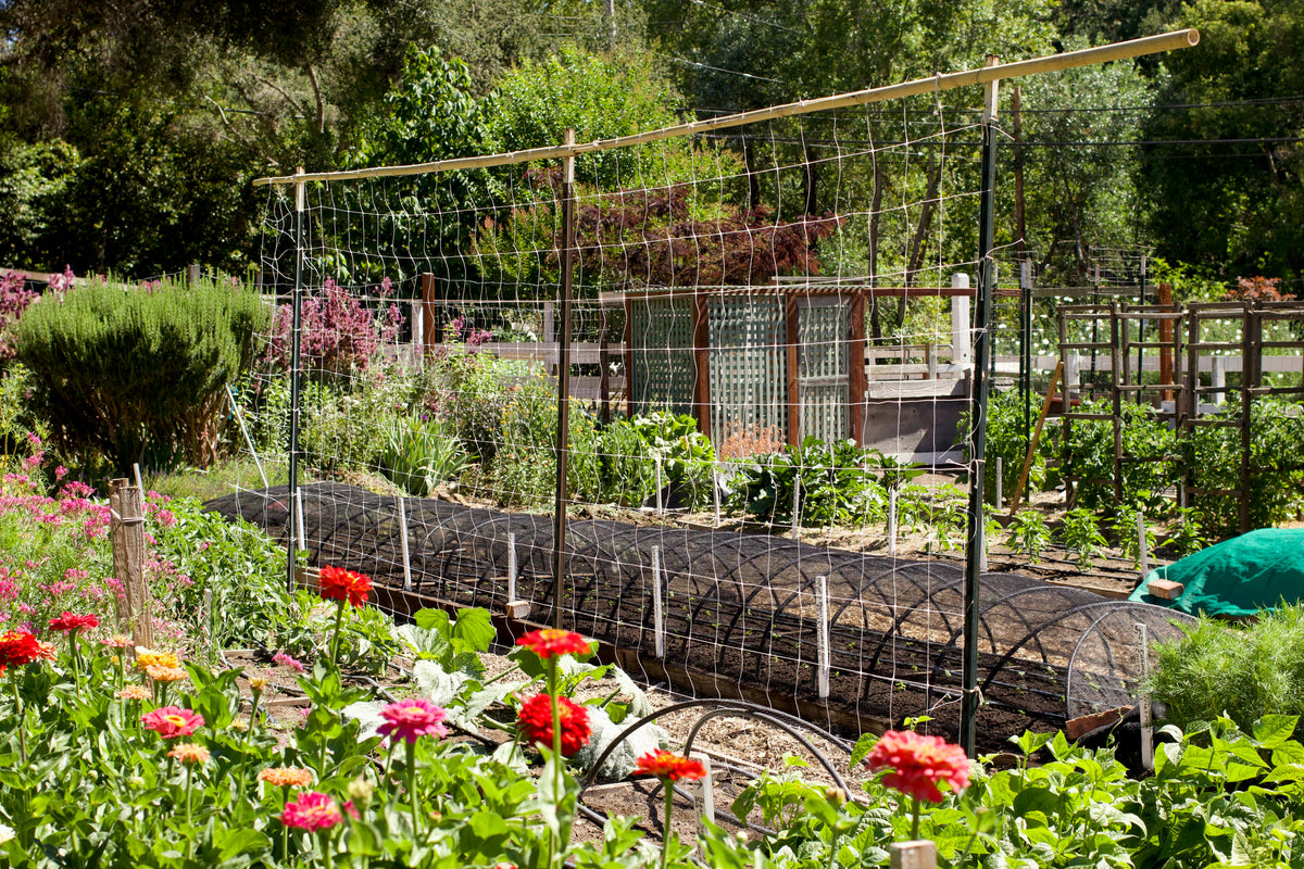 Hortonova Trellis Netting