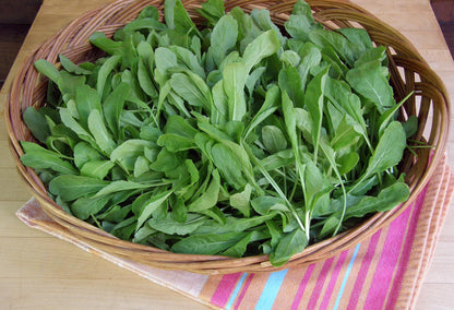 Kitchen Herbs - Heirloom Italian Arugula