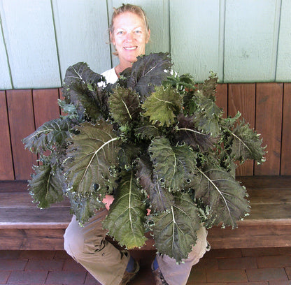 Specialty Kale - Mars Landing