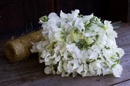 Heirloom Sweet Peas - Royal Wedding