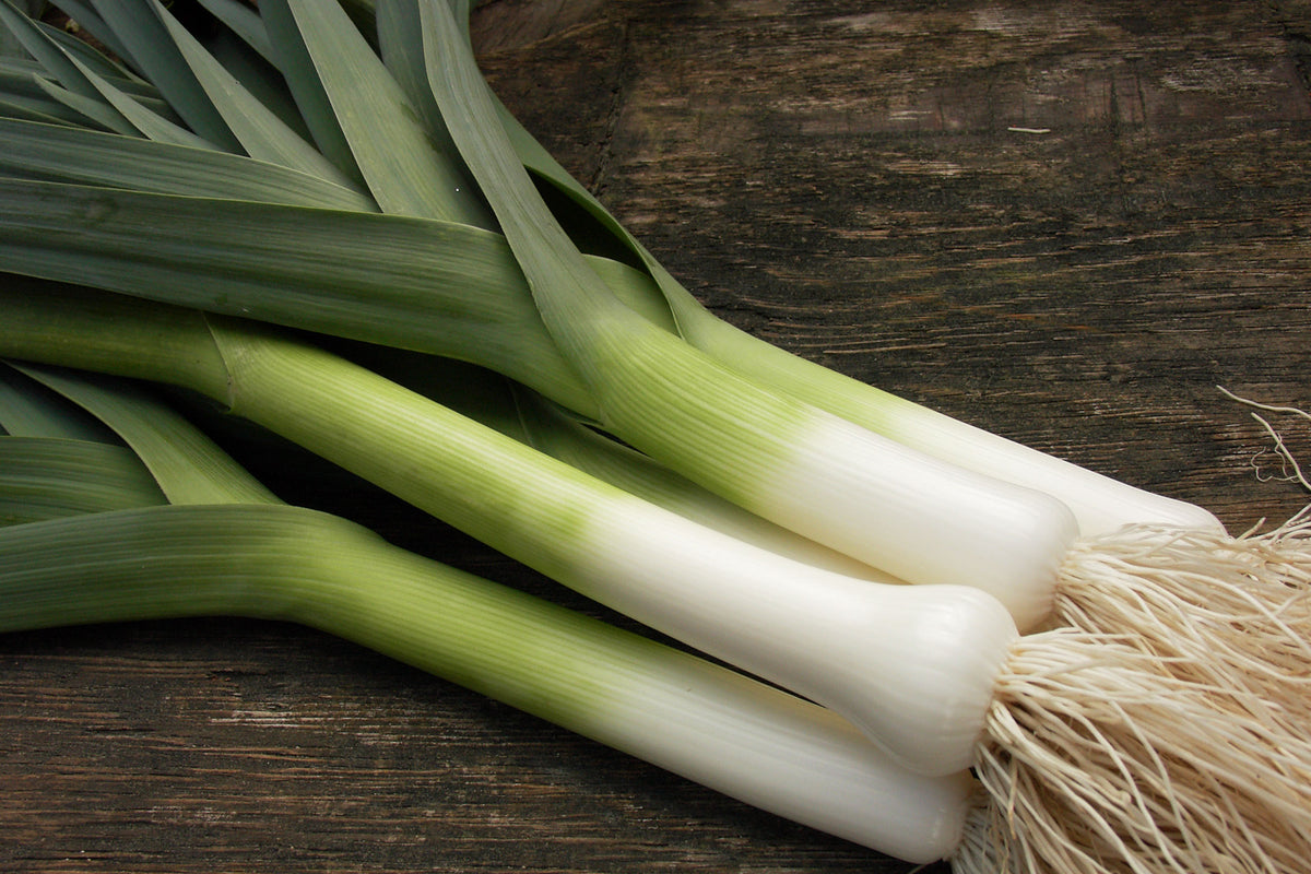 French Baby Leeks - Primor