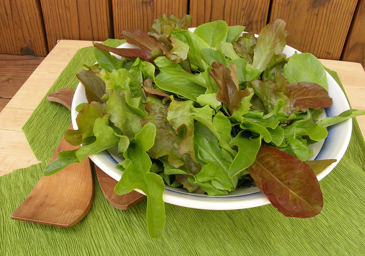 Baby Mesclun Lettuces - Cut and Come Again