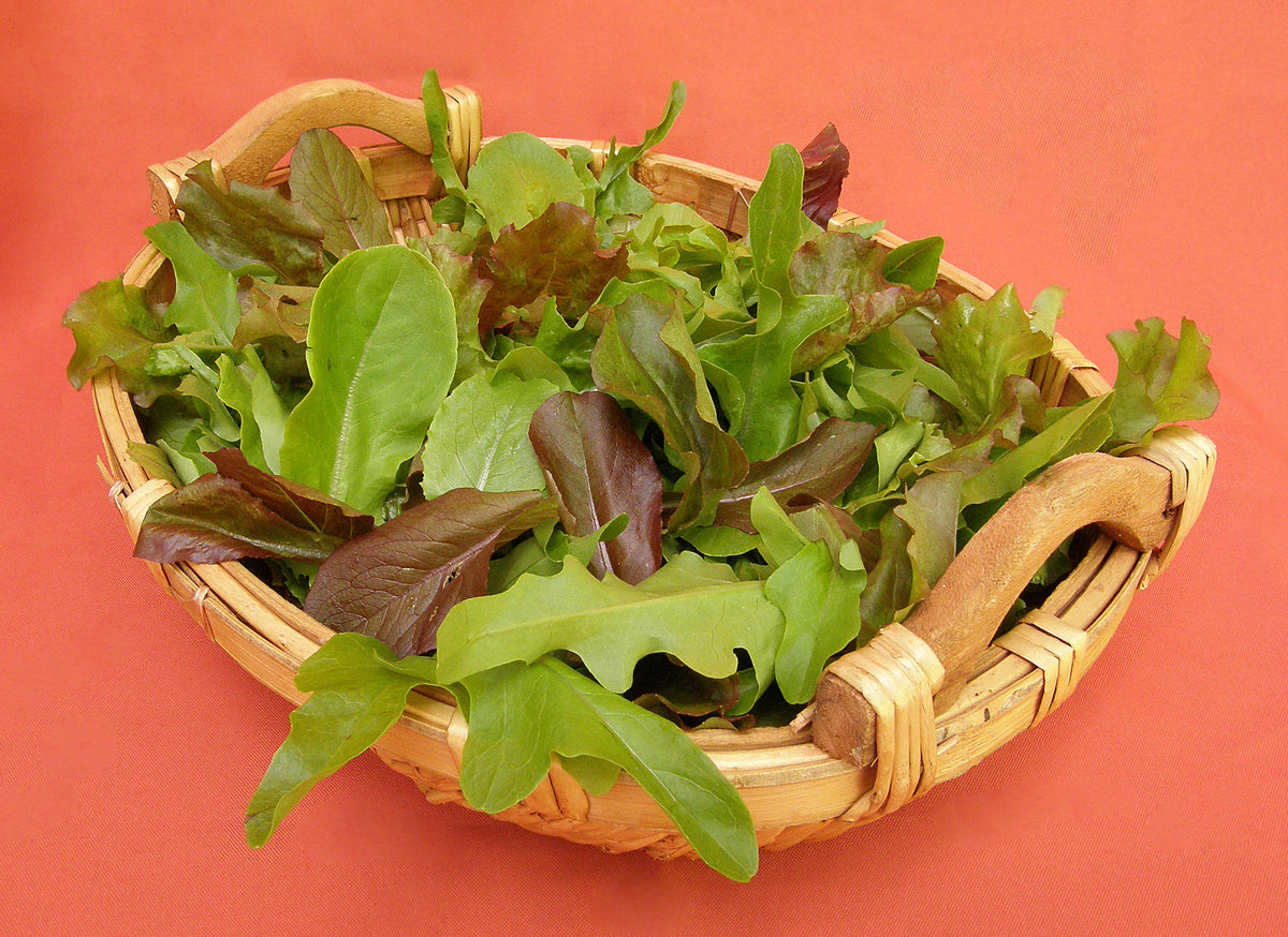 Baby Mesclun Lettuces - Cut and Come Again