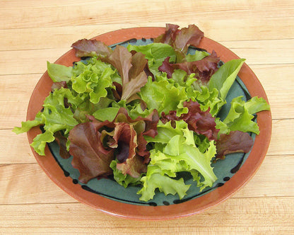 Signature Salads - Monet's Garden Mesclun