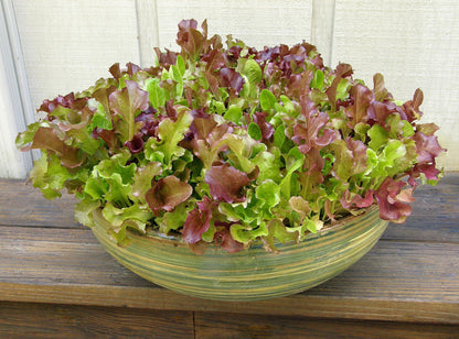 Signature Salads - Monet's Garden Mesclun
