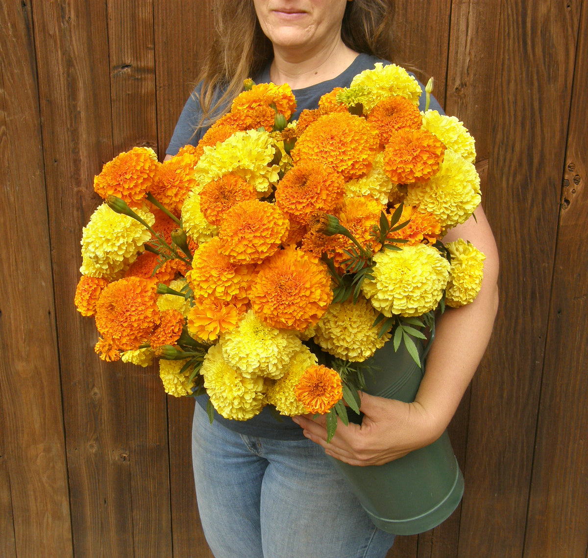 Giant Bouquet Marigolds - Orange & Yellow Beast