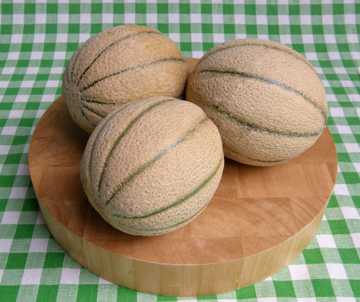 Gourmet Tuscan Melon - Napoli