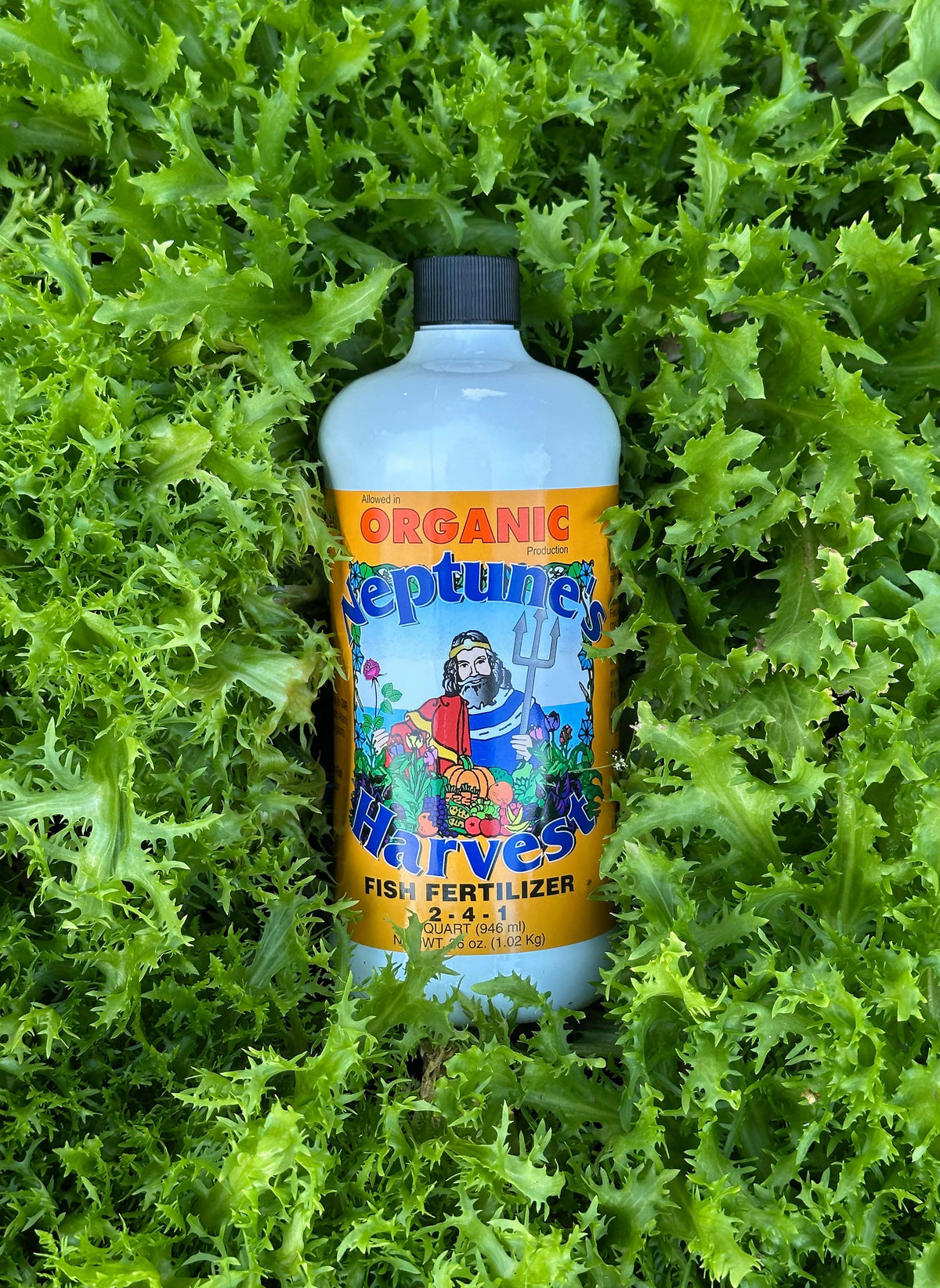Neptune’s Harvest Hydrolyzed Fish Fertilizer 2-4-1