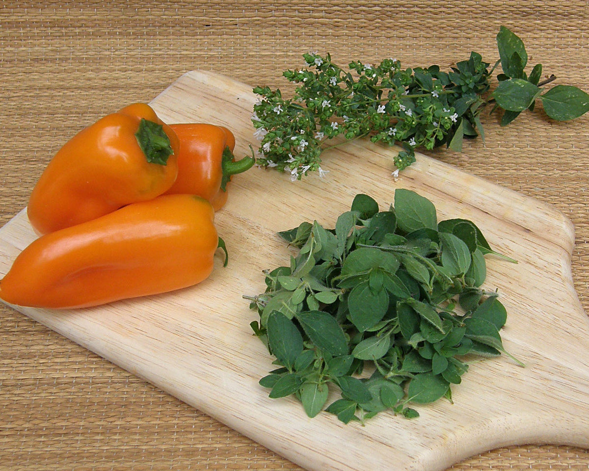 Heirloom Kitchen Herbs - True Greek Oregano