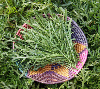 Heirloom Arugula - Rustic Style Organic