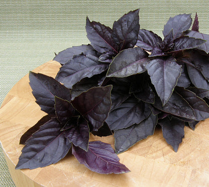 Heirloom Basil - Purple Opal Organic