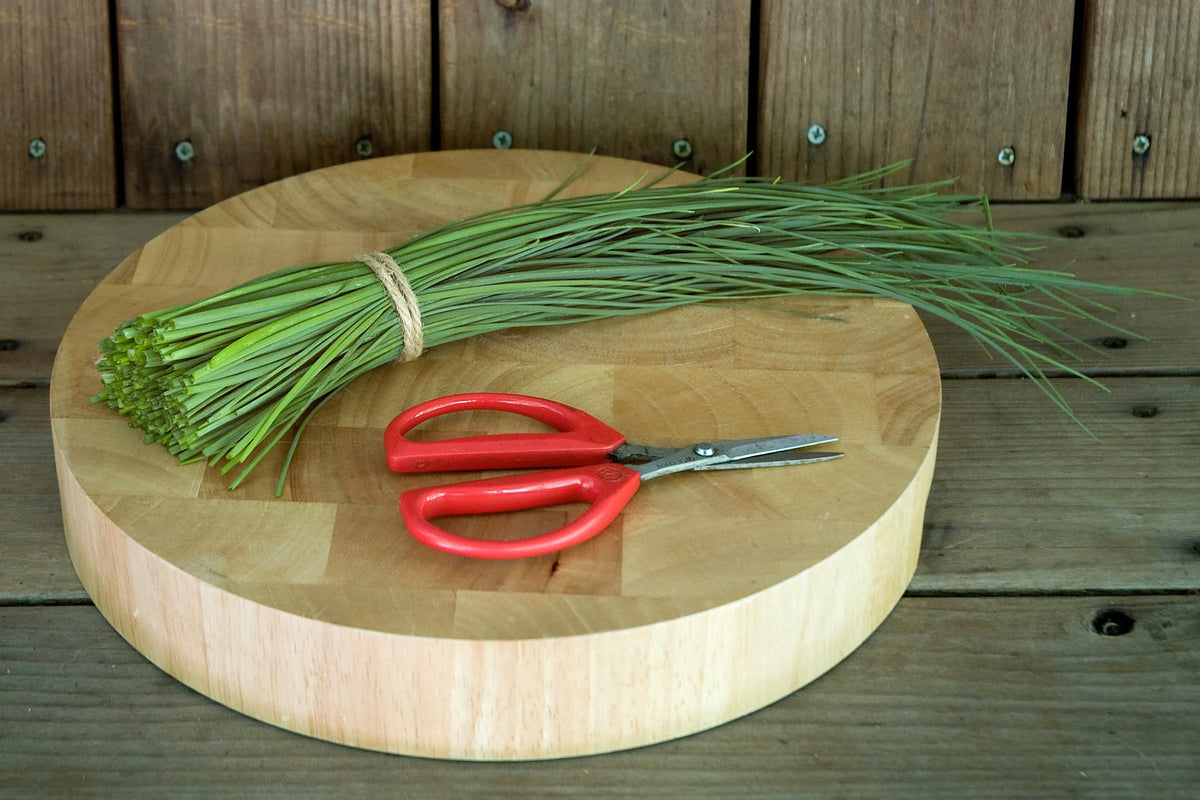 Heirloom - Culinary Chives Organic