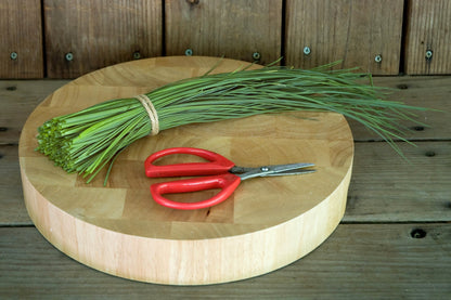 Heirloom - Culinary Chives Organic