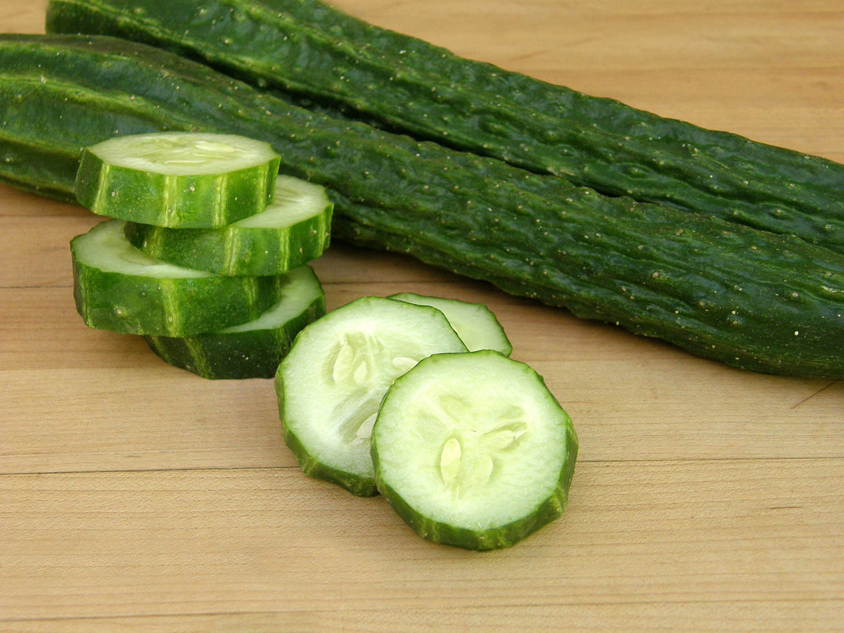 Heirloom Chinese Cucumber - Suyo Long Organic