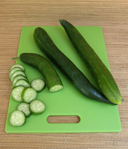 Japanese Cucumber - Tasty Treat Slicer Organic