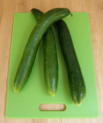 Japanese Cucumber - Tasty Treat Slicer Organic