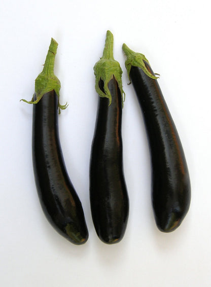 Heirloom Italian Eggplant - Violetta Lunga Organic