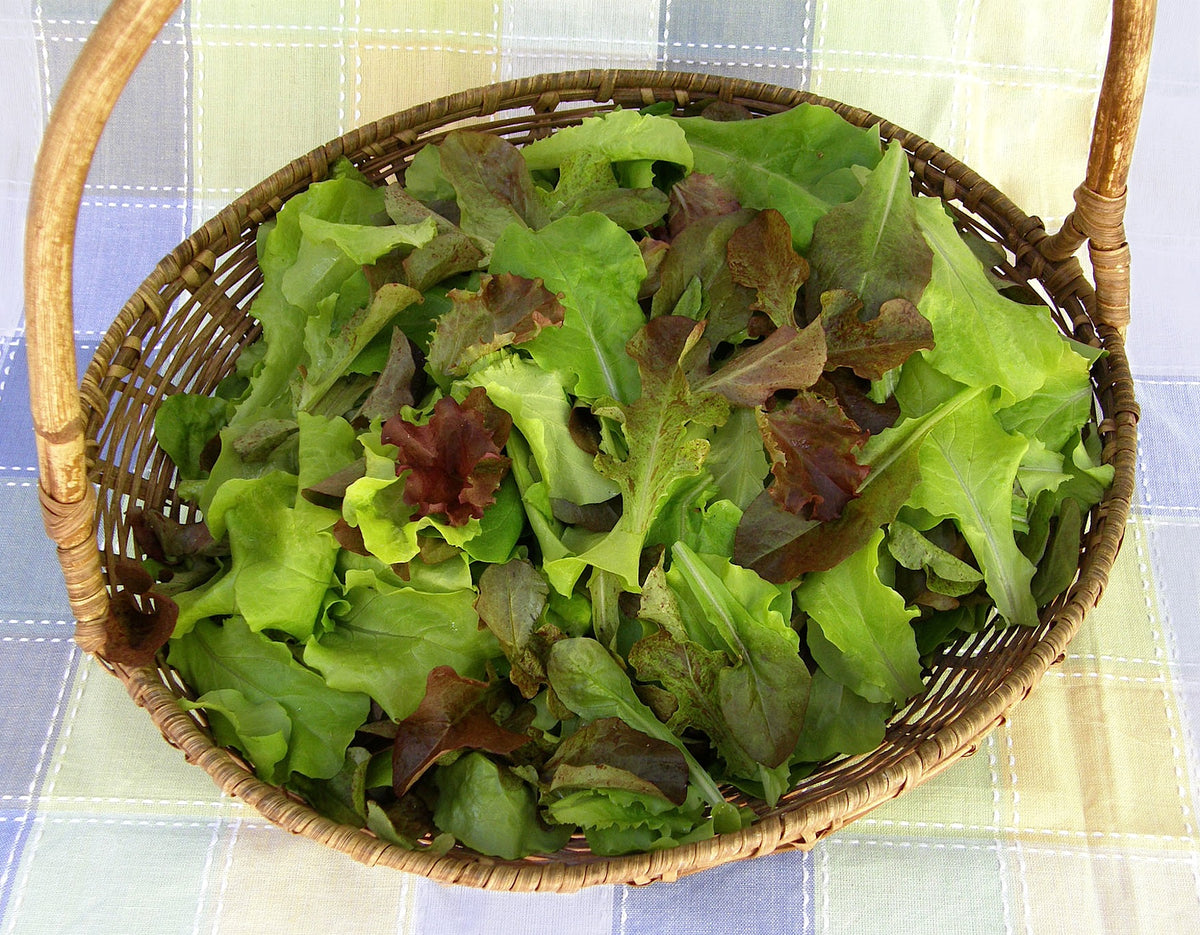 Cut & Come Again Lettuces - Renee's Baby Leaf Blend Organic