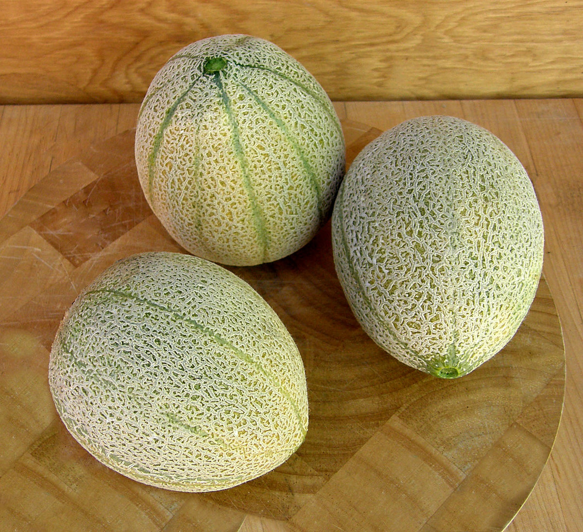 Heirloom Tuscan Melon - Melone Retato Degli Ortolani Organic