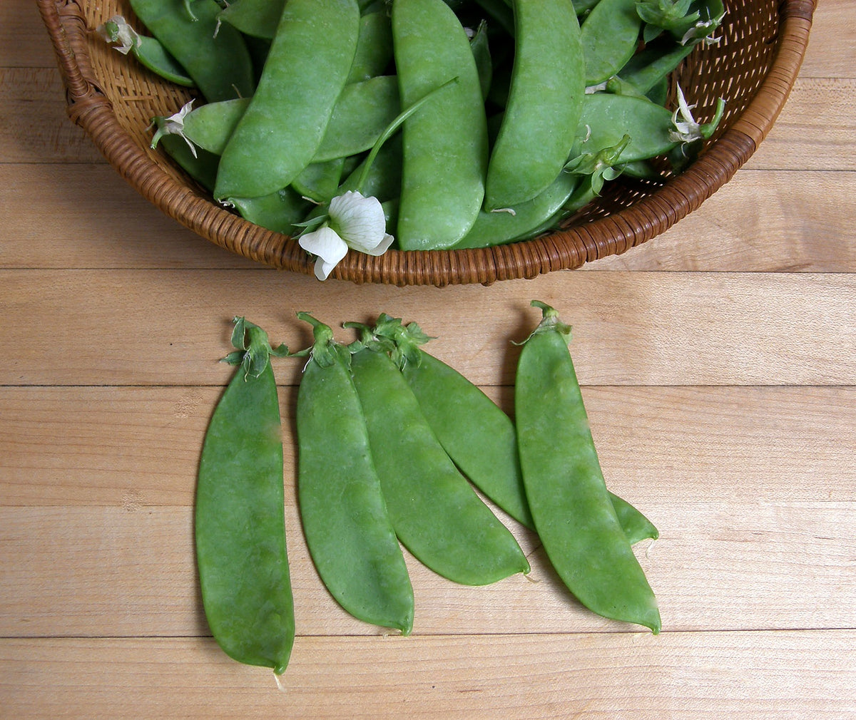 Snow Peas - Oregon Sugar Pod II Organic