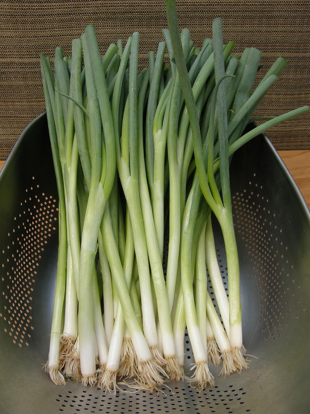 Salad Scallions - Sprint Organic