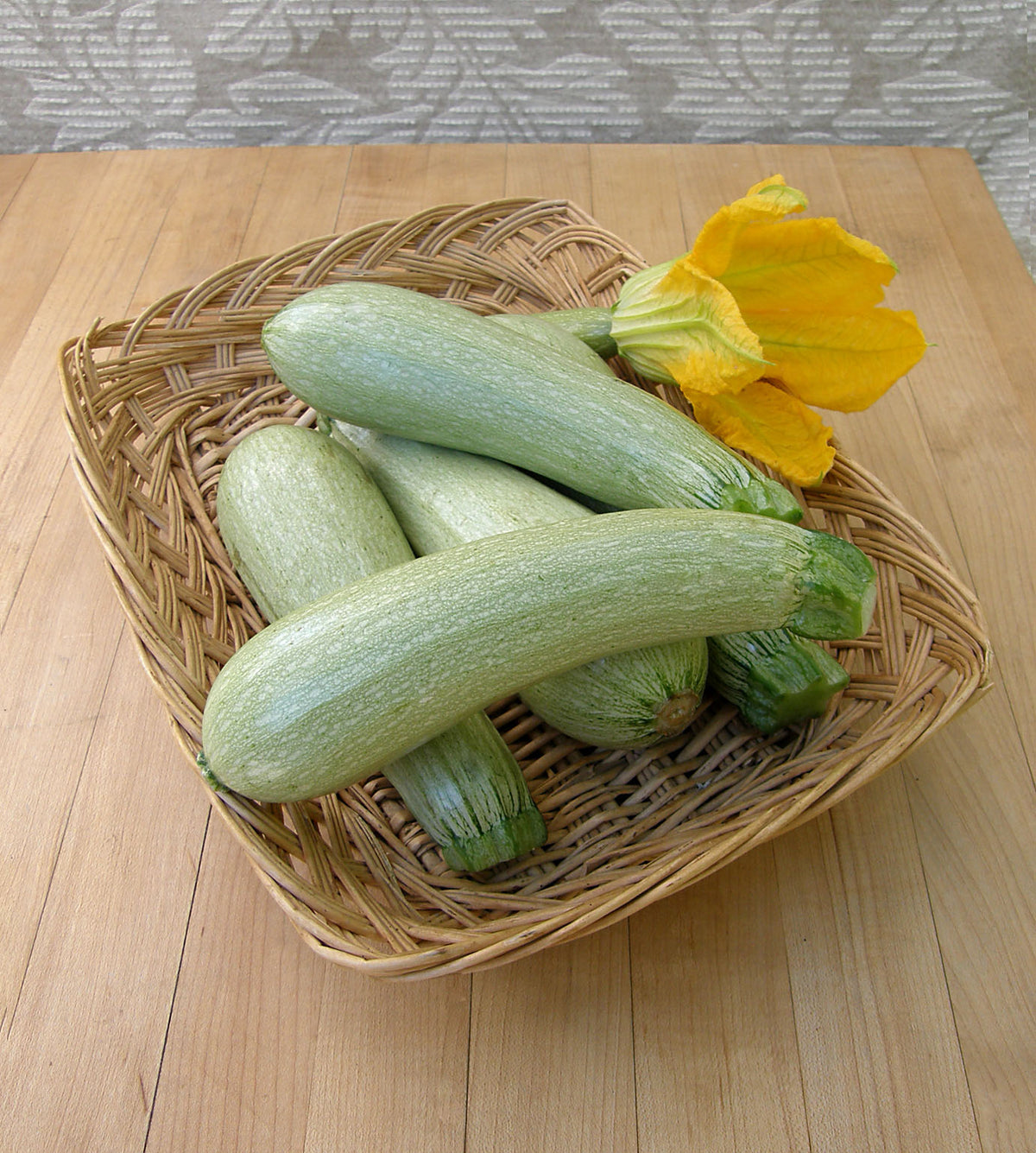 Heirloom Italian Zucchini - Ortolana di Faenza Organic