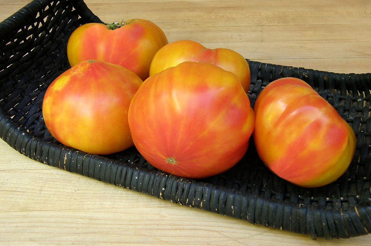 Heirloom Bicolor Tomato - Marvel Stripe Organic